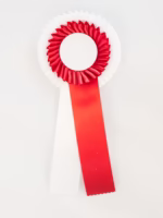 HS 212 Tweeringsrozet met 2 flappen - Afbeelding 2