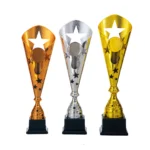 Serie HSK 5025 - Afbeelding 2